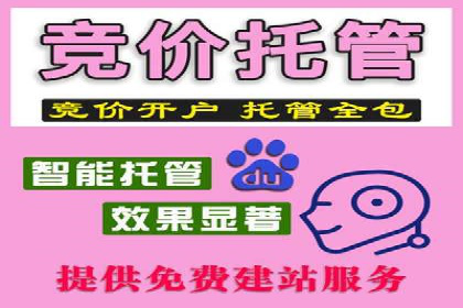 百度推广代运营实战案例解析